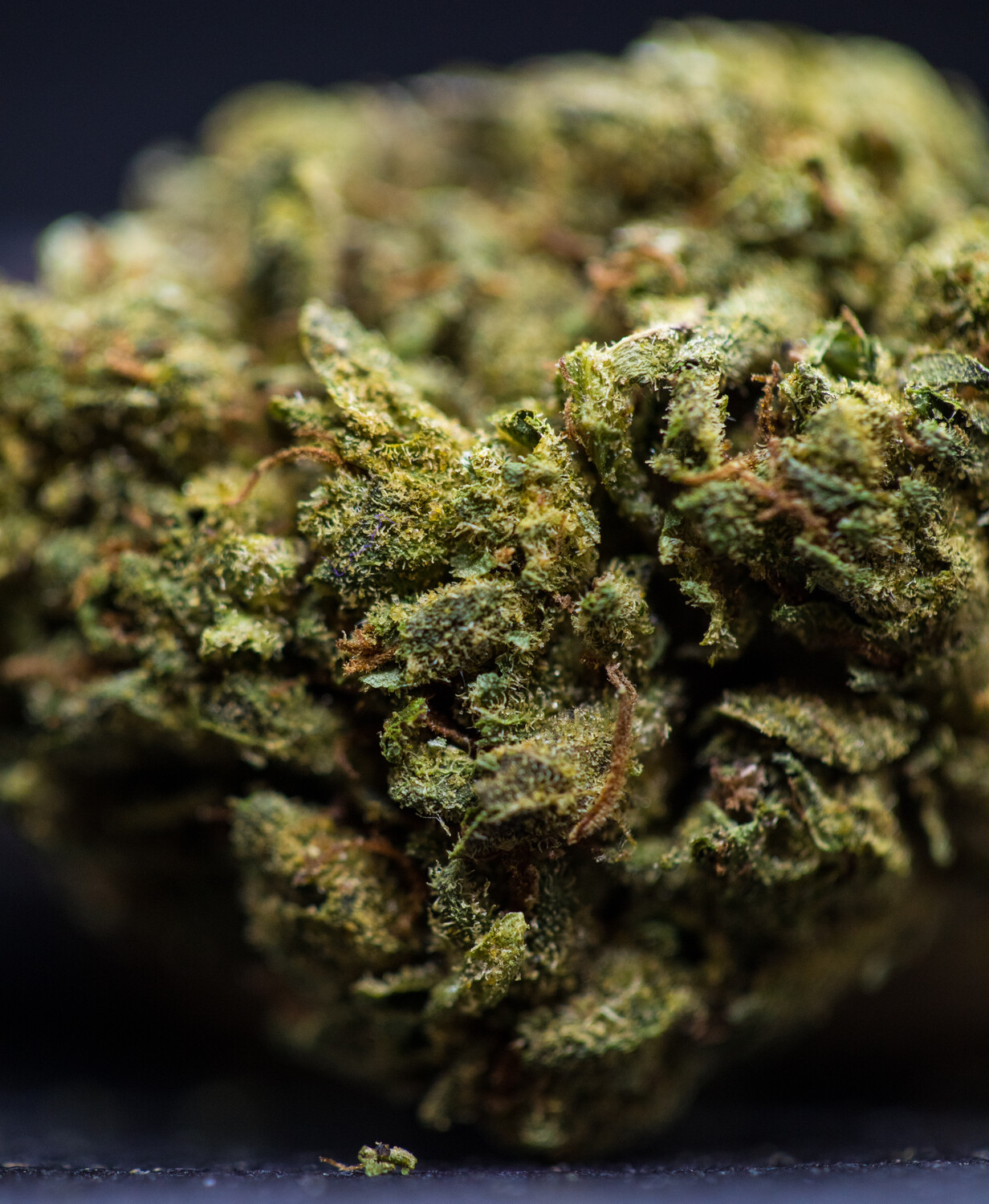 edibles online 1000mg