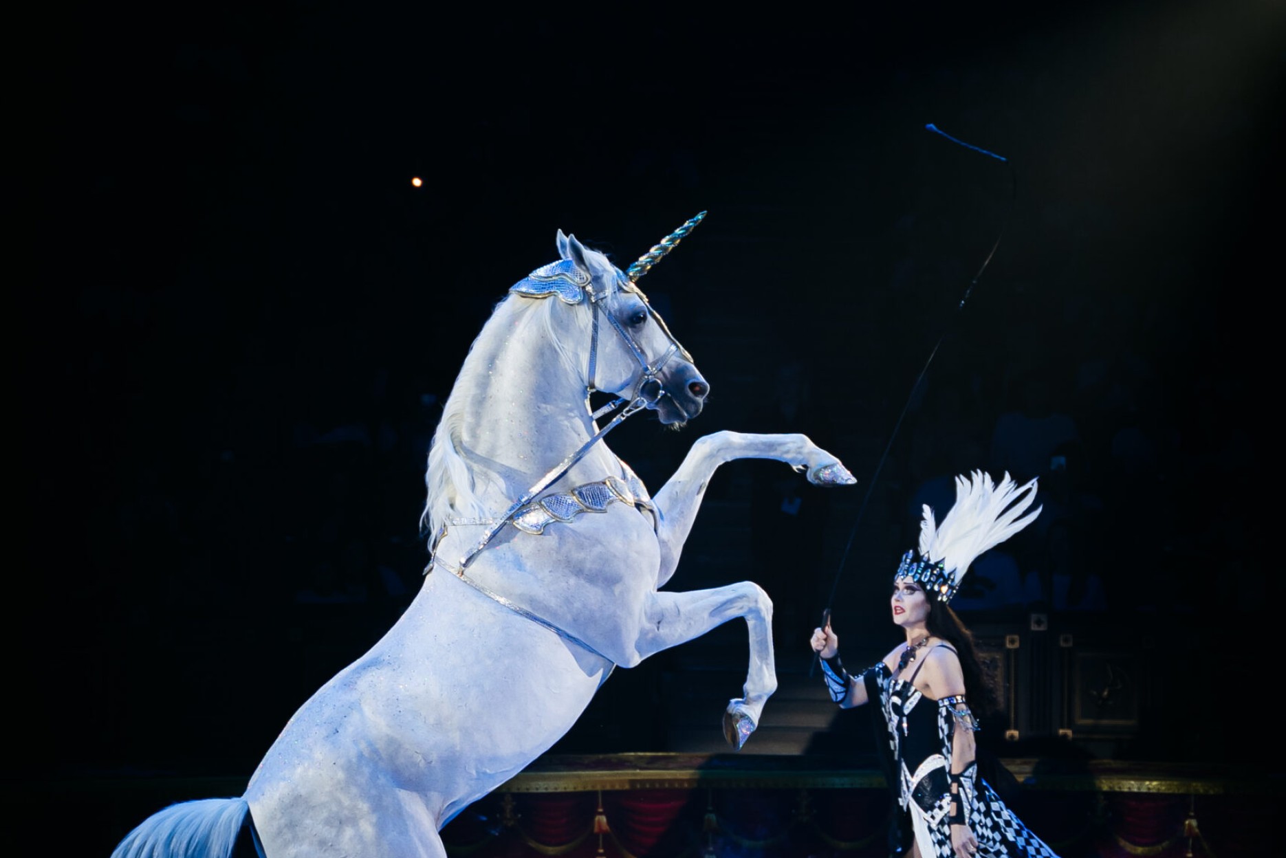 tonplay отзывы