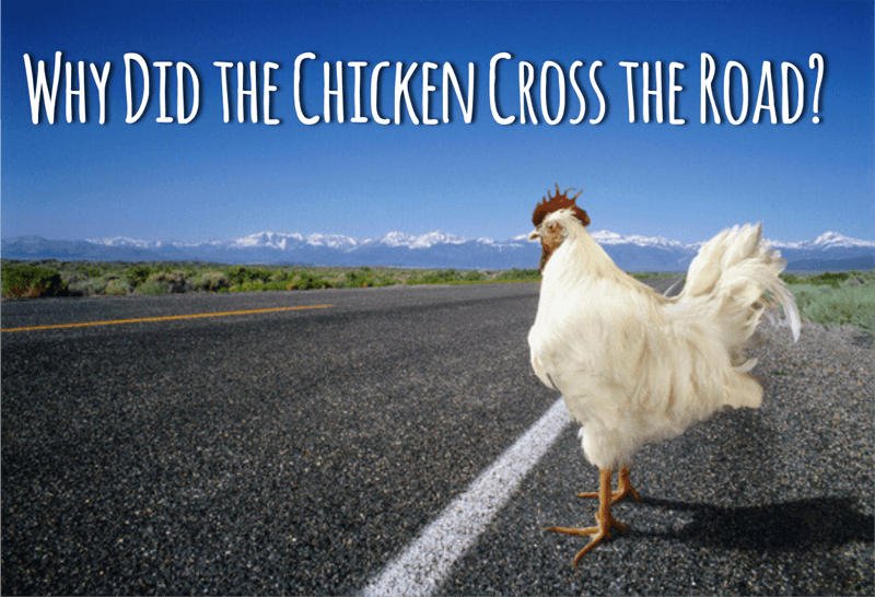 chicken road crossing game