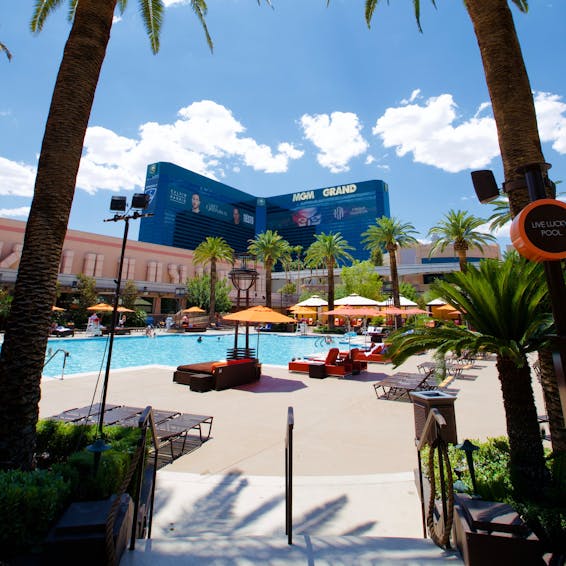 spiel book of ra kostenlos download