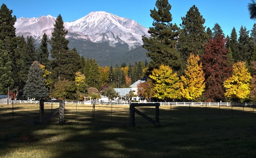 free casino bets no deposit required