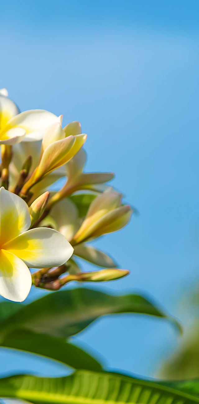 Wizualizacja strony głównej portalu Malina Casino z listą kasyn i bonusów