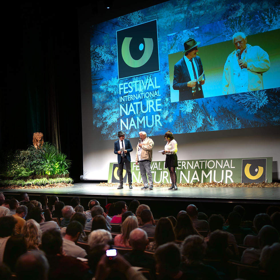 LalaBet Casino Spelinterface op mobiel en desktop