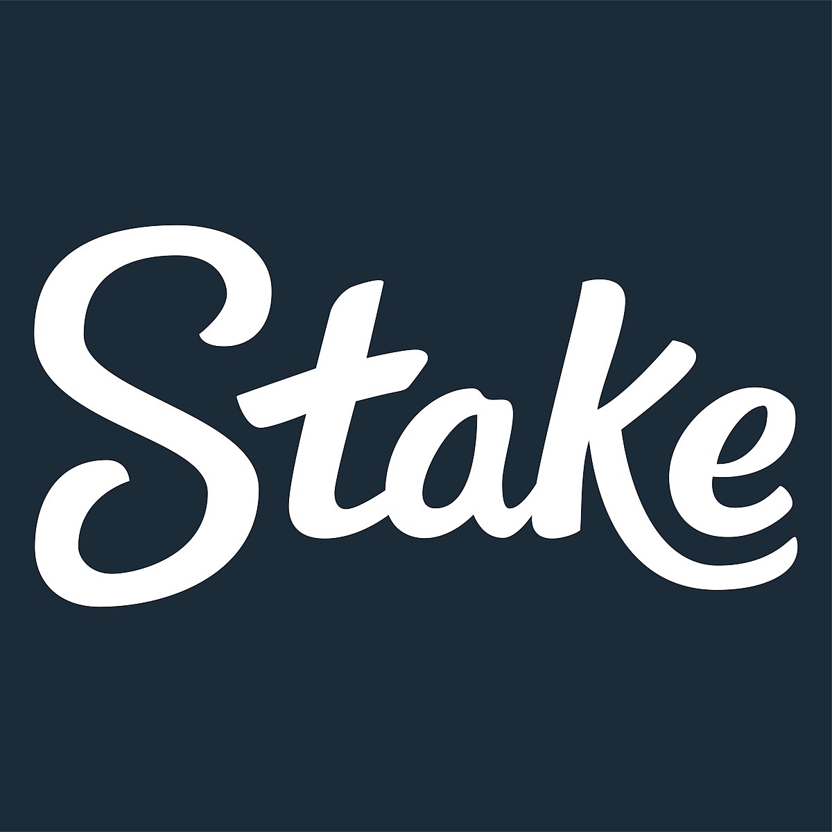 Logo Stake Casino