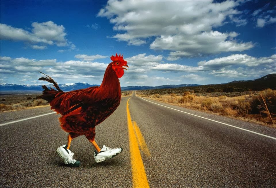 chicken road app