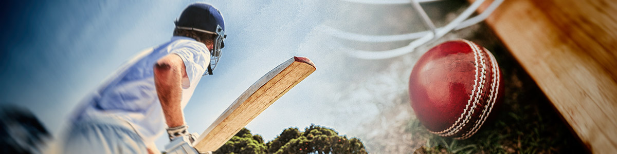 betting sites in india for cricket