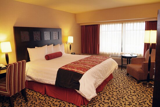 dolphins pearl Spielautomaten beste Strategie