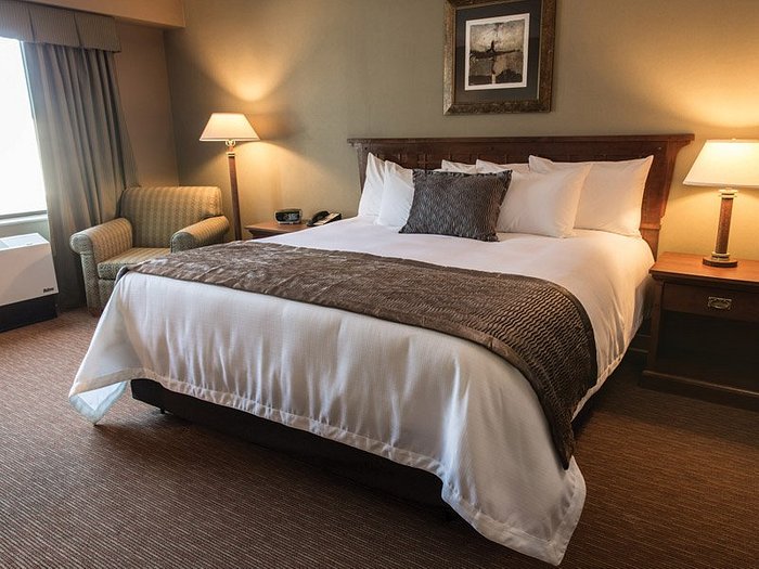 Spielen Sie den Eye of Horus Test-Slot online ohne Download