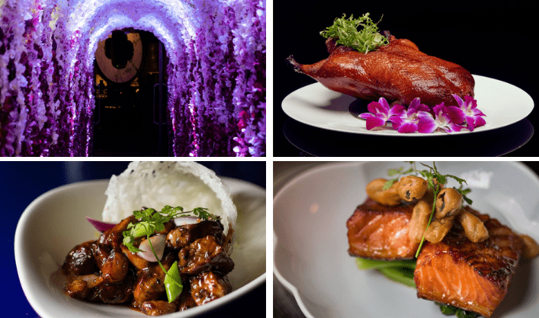 no deposit bonus thanksgiving