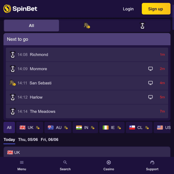 SpinBet NZ Horse Racing Betting Interface