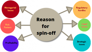 Spin Rise Live-Casino