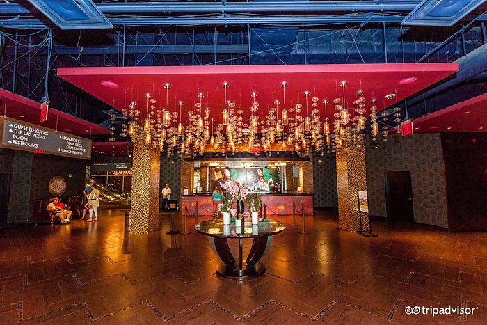 no deposit bonus joo casino