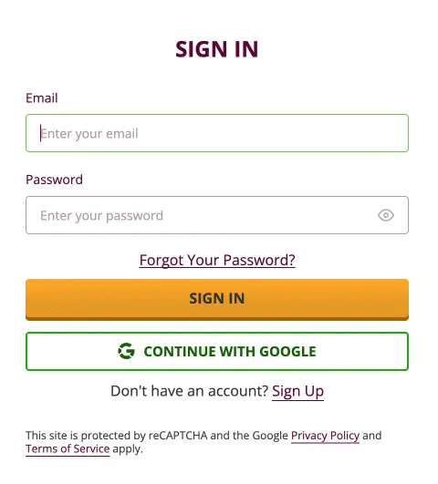 Playamo Casino Sign In Interface
