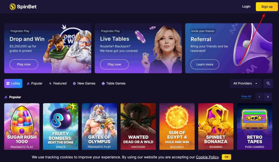 SpinBet Registration Interface