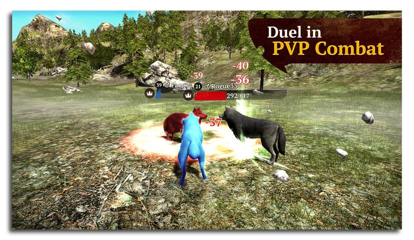 Conozca los hechos aquí ahora