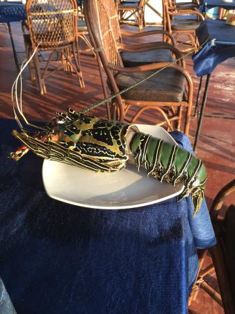 Two Tribes online casinos