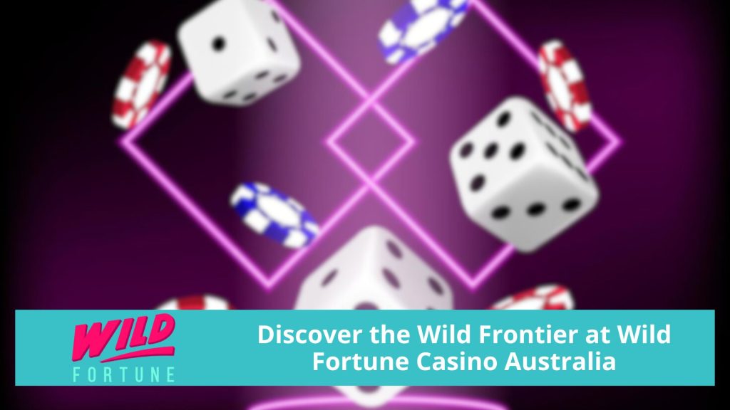 Wild Fortune Casino Dashboard Preview
